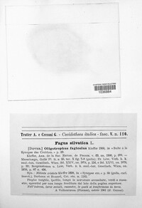 Image Associated With the Occurence